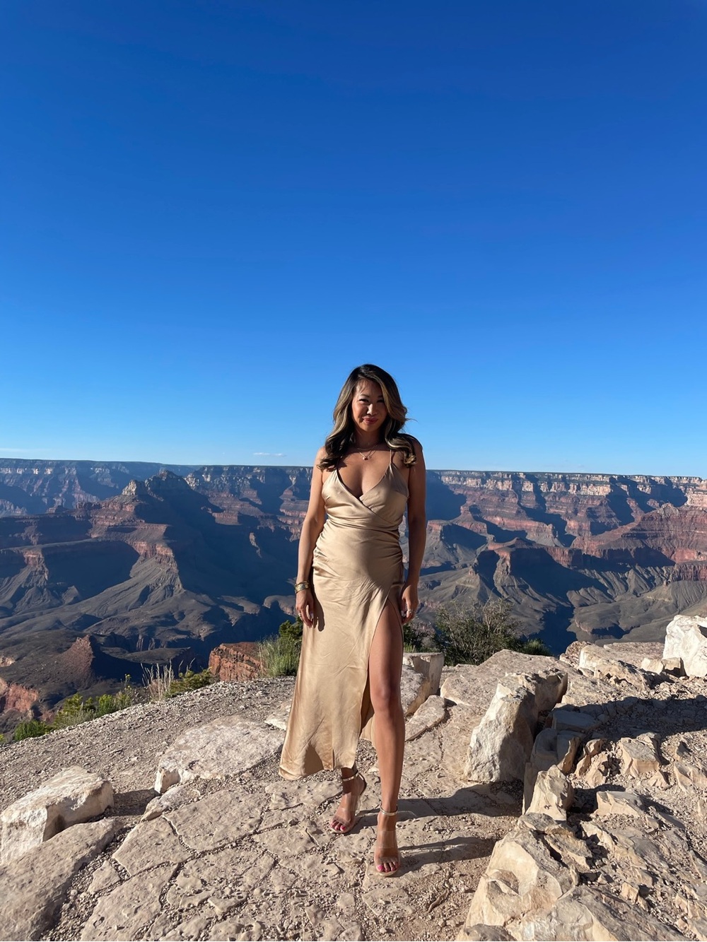 FORWARD by Elyse Walker SEROYA Champagne Silk Dress